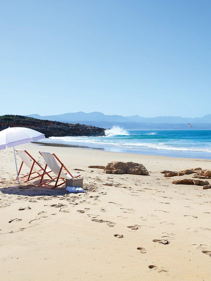 Deck chairs, picnic basket and umbrella on the beach with a seagull and crashing waves. 