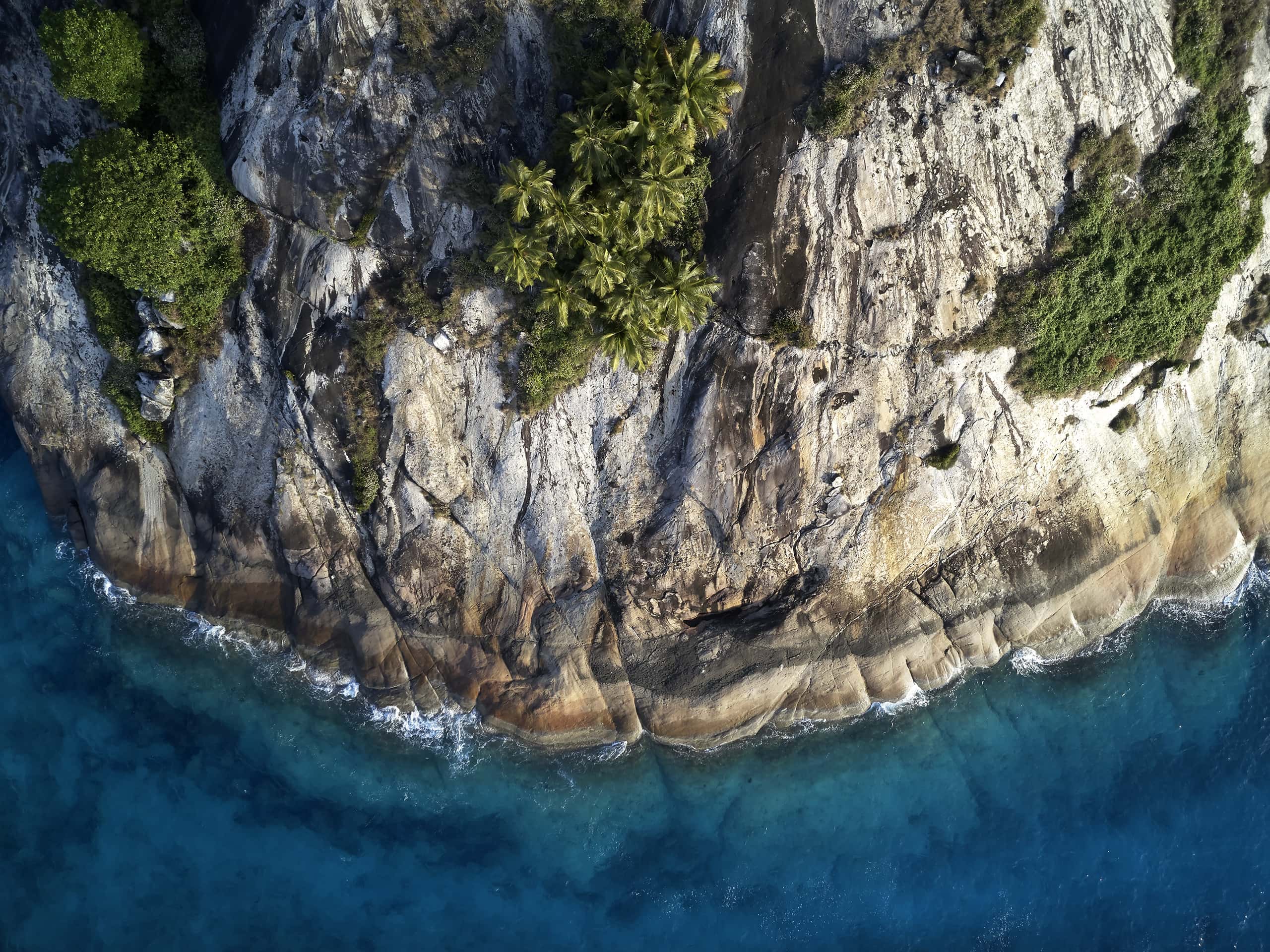 Drone view of North Island's headland, Seychelles. Photo by Elsa Young. Drone view of North Island's headland, Seychelles. Photo by Elsa Young.